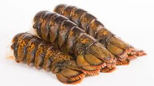 Lobster