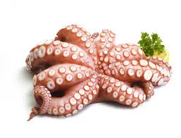 Octopus