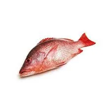 Red Snapper