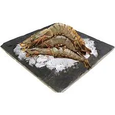 Shrimp - Image 9