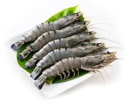 Shrimp - Image 7