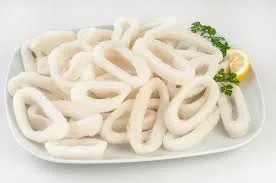 Squid - Image 5