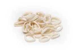 Squid - Image 3