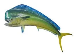 Mahi Mahi